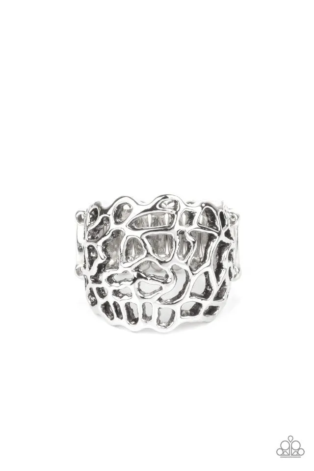 Paparazzi Ring ~ Get Your FRILL - Silver